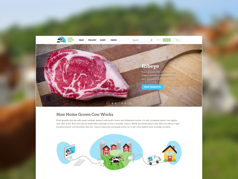 image of the top portion of the homegrown cow homepage website design