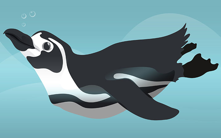 Shedd Sketch