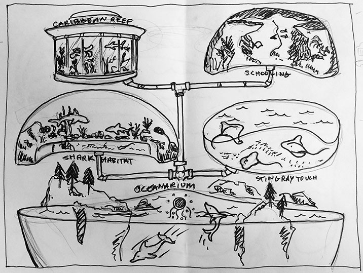 Shedd Sketch